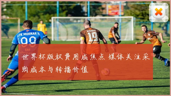 世界杯版权费用成焦点 媒体关注采购成本与转播价值